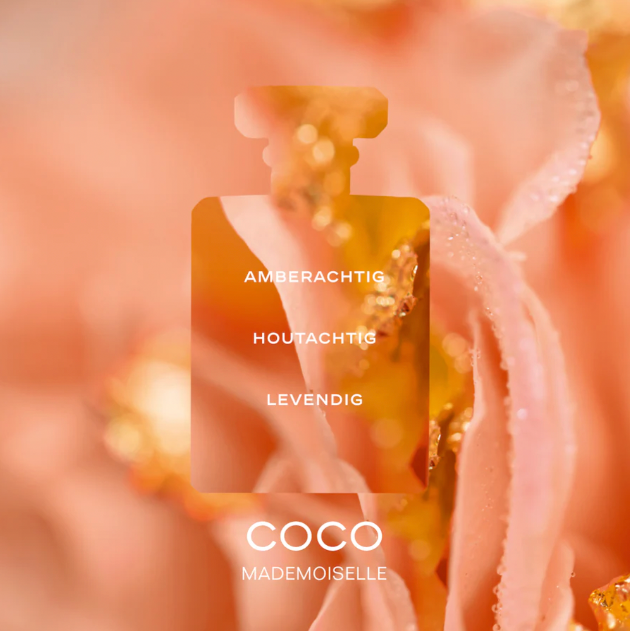 Coco Mademoiselle Eau de Parfum
- Limited Edition